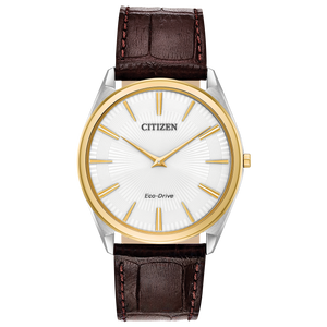 Citizen Eco-Drive Stiletto Watch