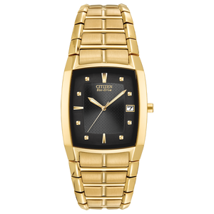 Citizen Eco-Drive Paradigm gold-tone Watch