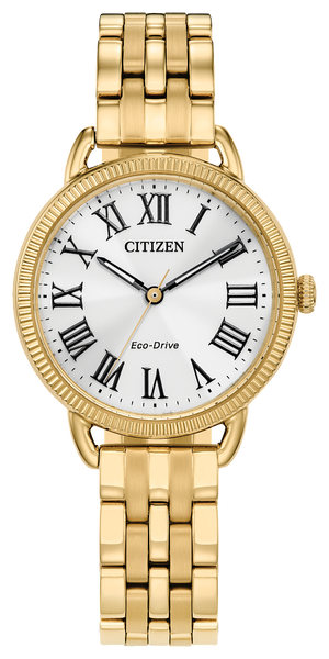 Citizen Eco-Drive Classic Watch