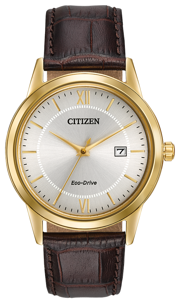 Citizen Mens Eco-Drive Corso Dress/Classic Gold-Tone Stainless Steel Case, Brown Leather Strap, Silver-Tone Dial, WR 30M